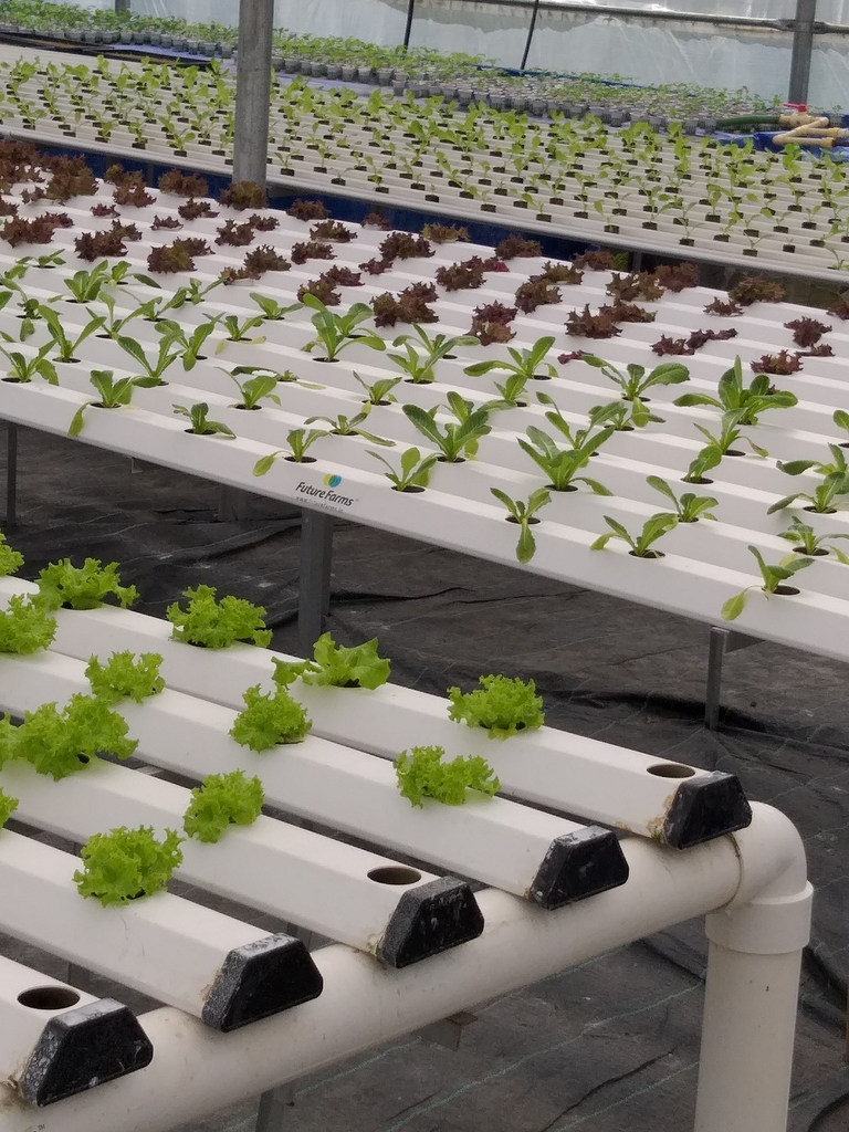 Aquaculture systems