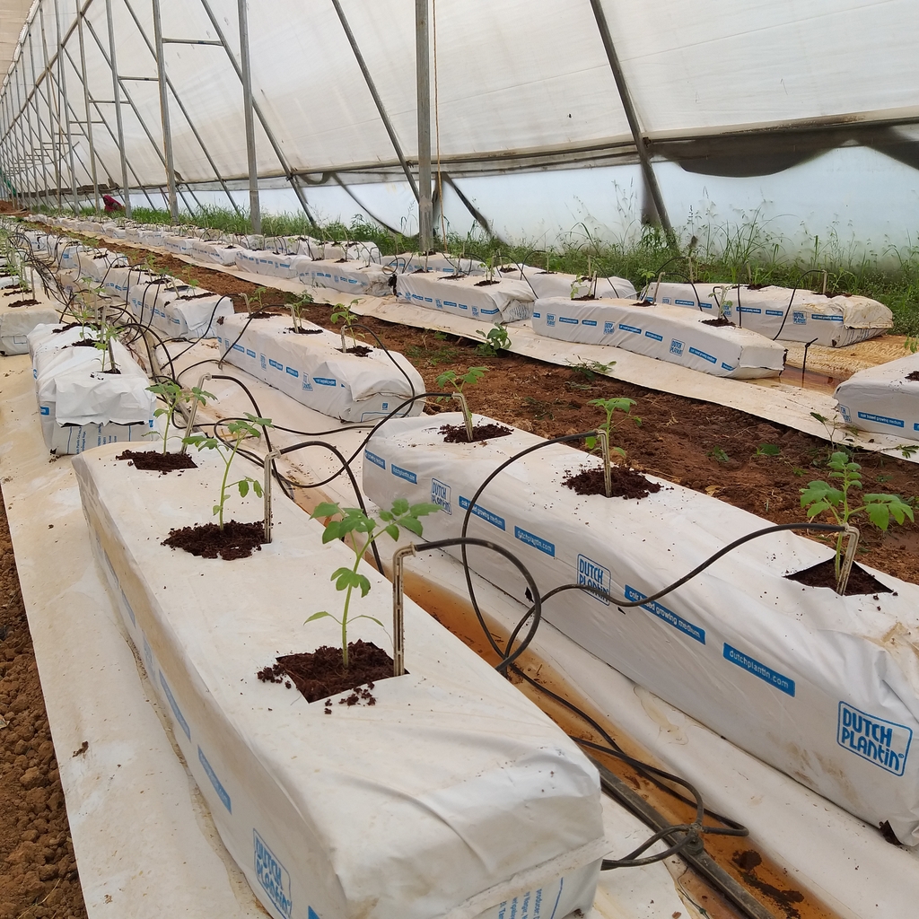 Cocopeat bunker technology