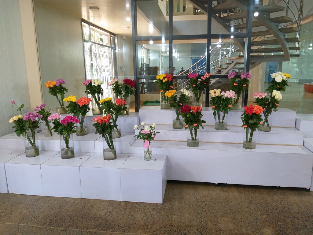 Plant testing and research
