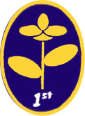 BLR Plants